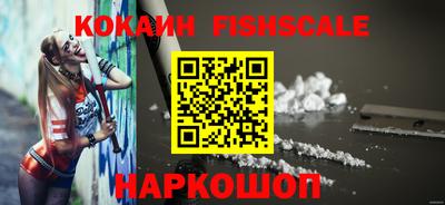 шишки Тверь