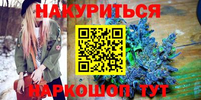шишки Тверь
