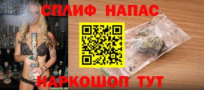 дмт Тара