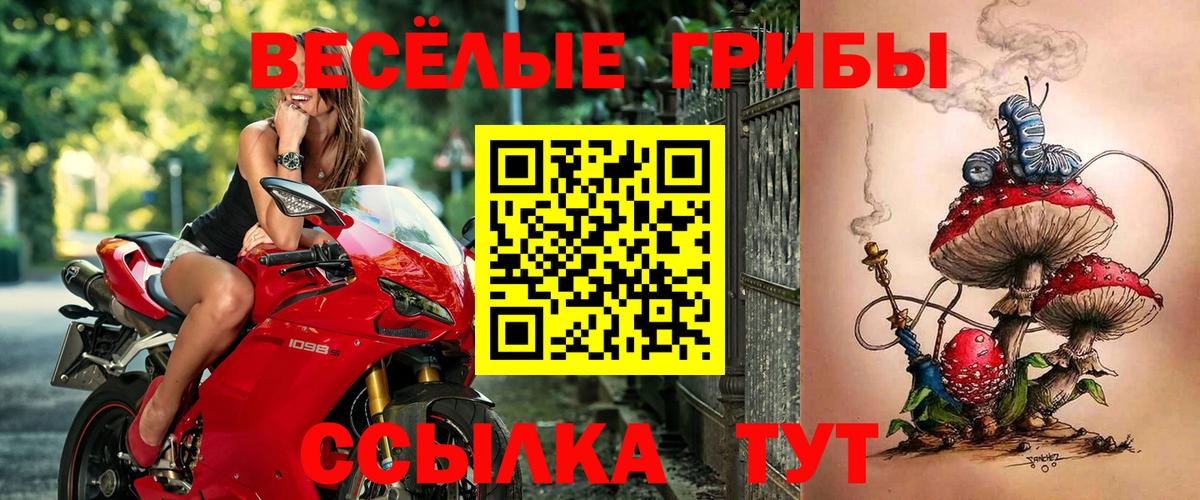 Галлюциногенные грибы Psilocybe Мытищи