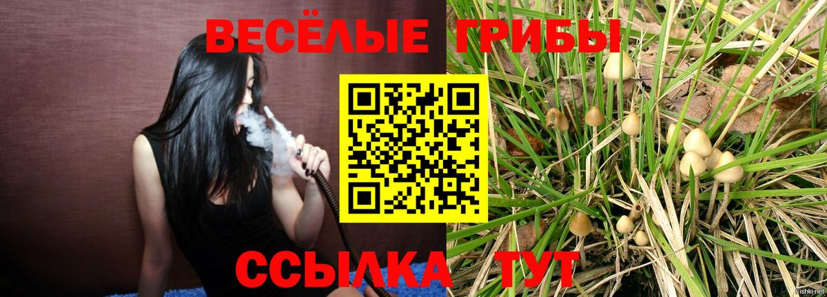 Галлюциногенные грибы GOLDEN TEACHER  Вход с VPN  Мытищи 